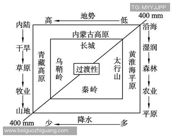 上海排球队的阵地战解析:战术布局与团队协作的深度探讨