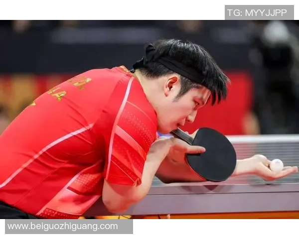 武汉乒乓球队在冠军赛中的卓越表现与团队力量分析